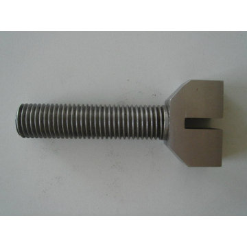 Special Screws with Stainless Steel in China